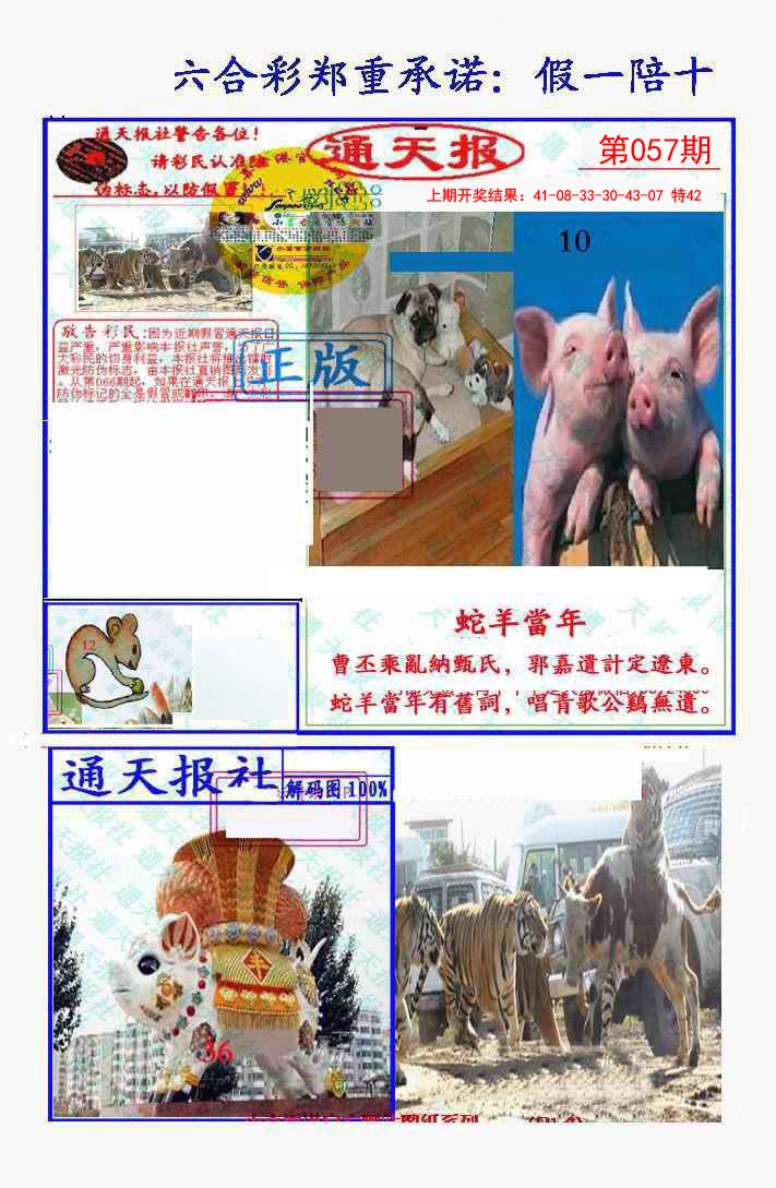 2025057期假一陪十通天报