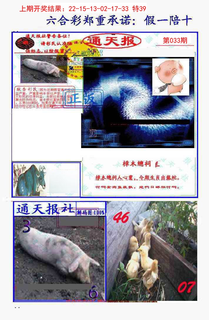 2025033期假一陪十通天报