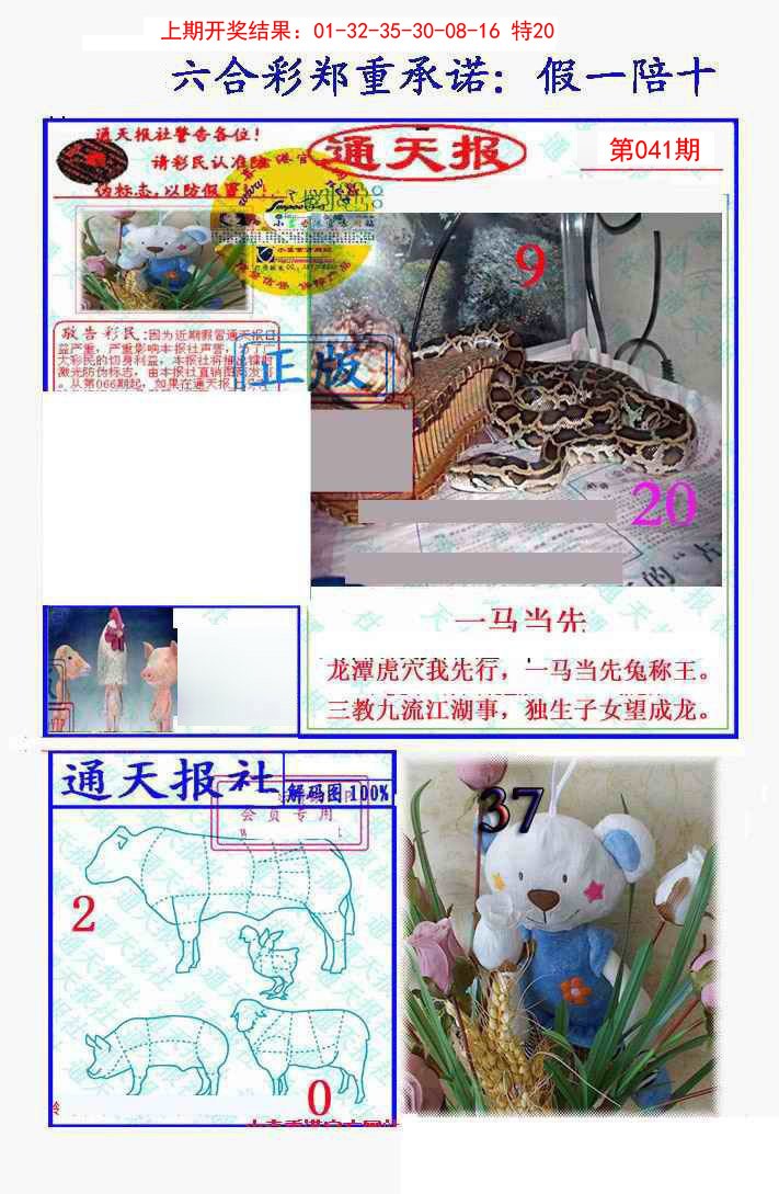 2025041期假一陪十通天报