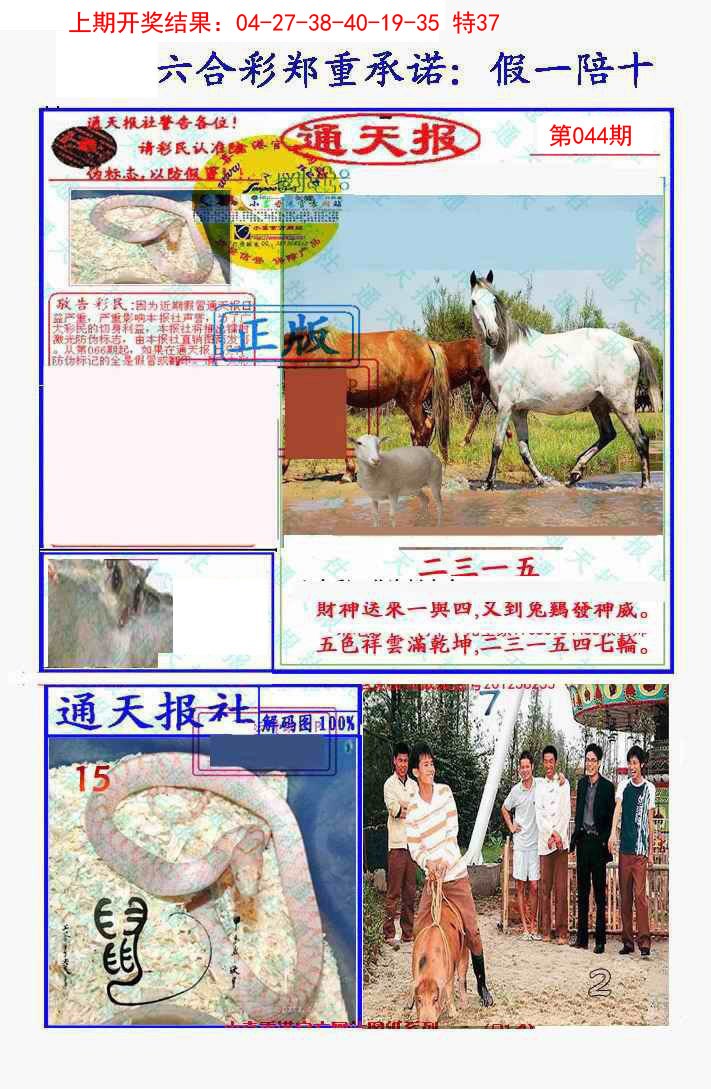 2025044期假一陪十通天报