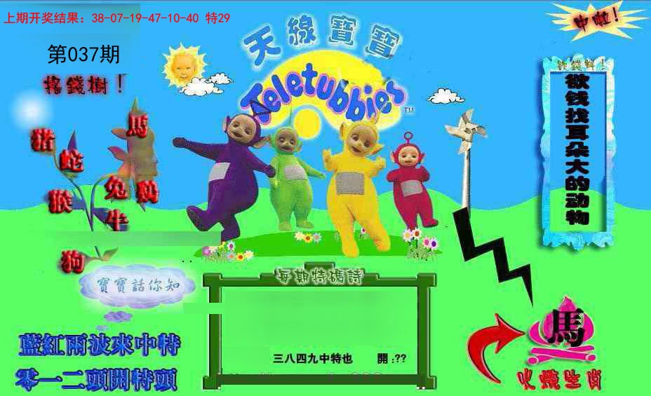 2025037期正版天线宝宝D