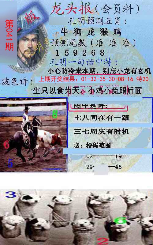 2025041期龙头报