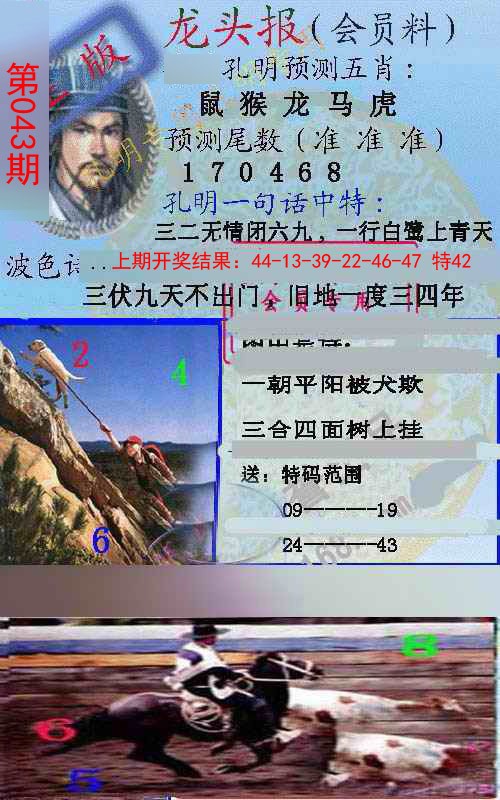 2025043期龙头报