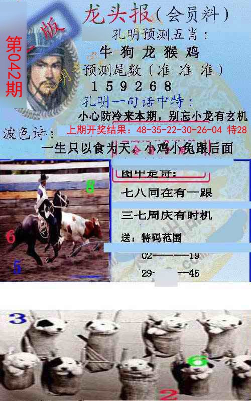 2025042期龙头报
