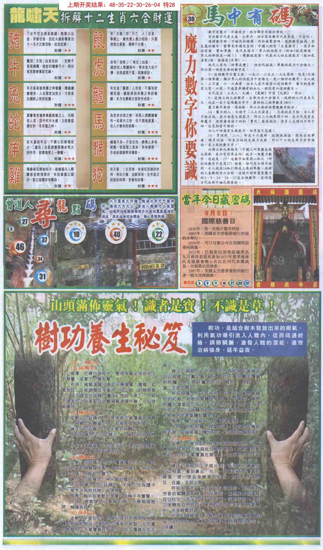 2025042期新报跑狗B