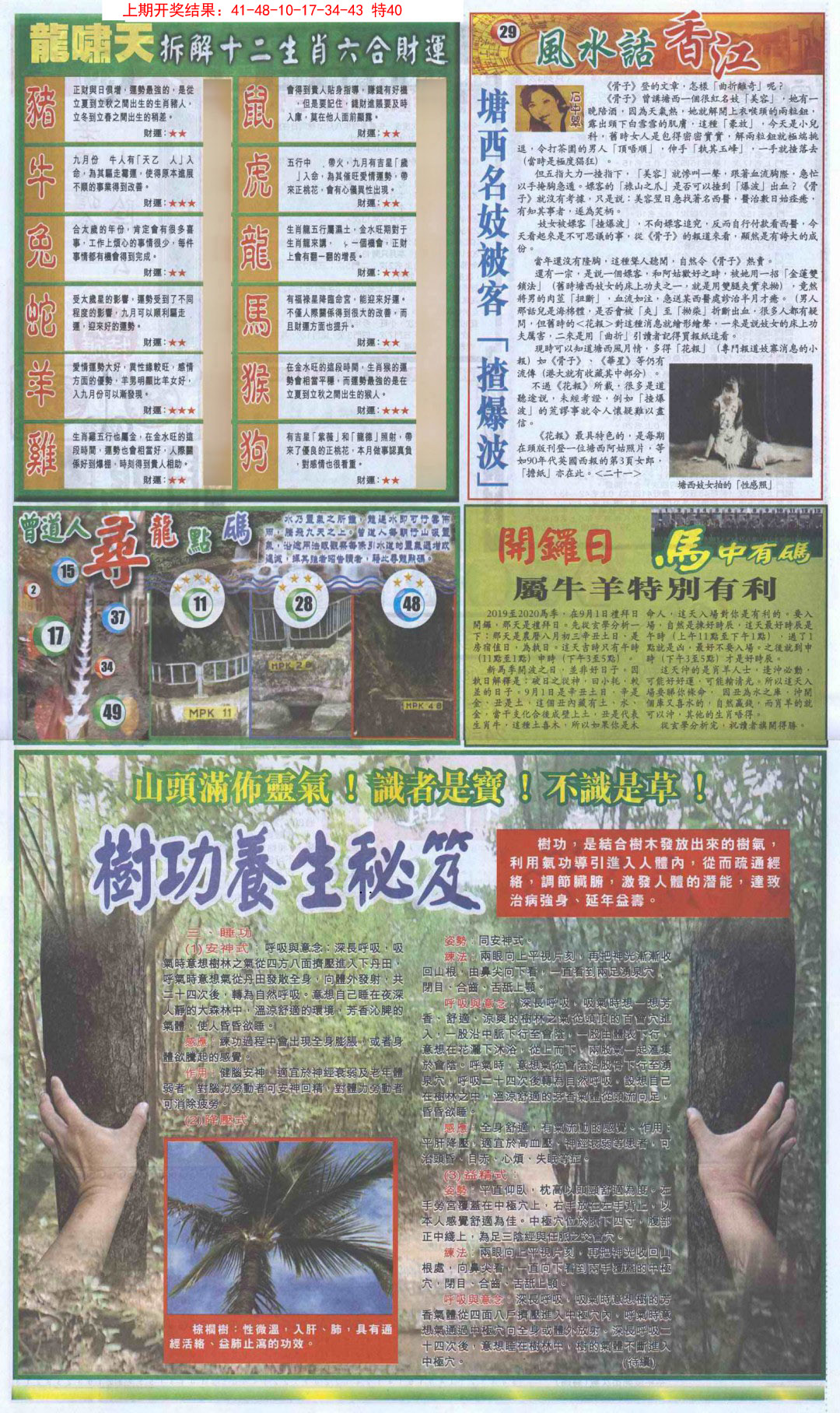 2025040期新报跑狗B