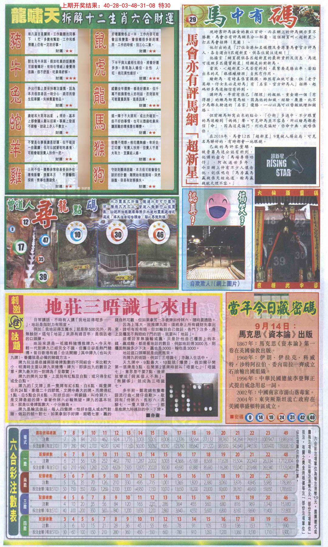 2025046期新报跑狗B