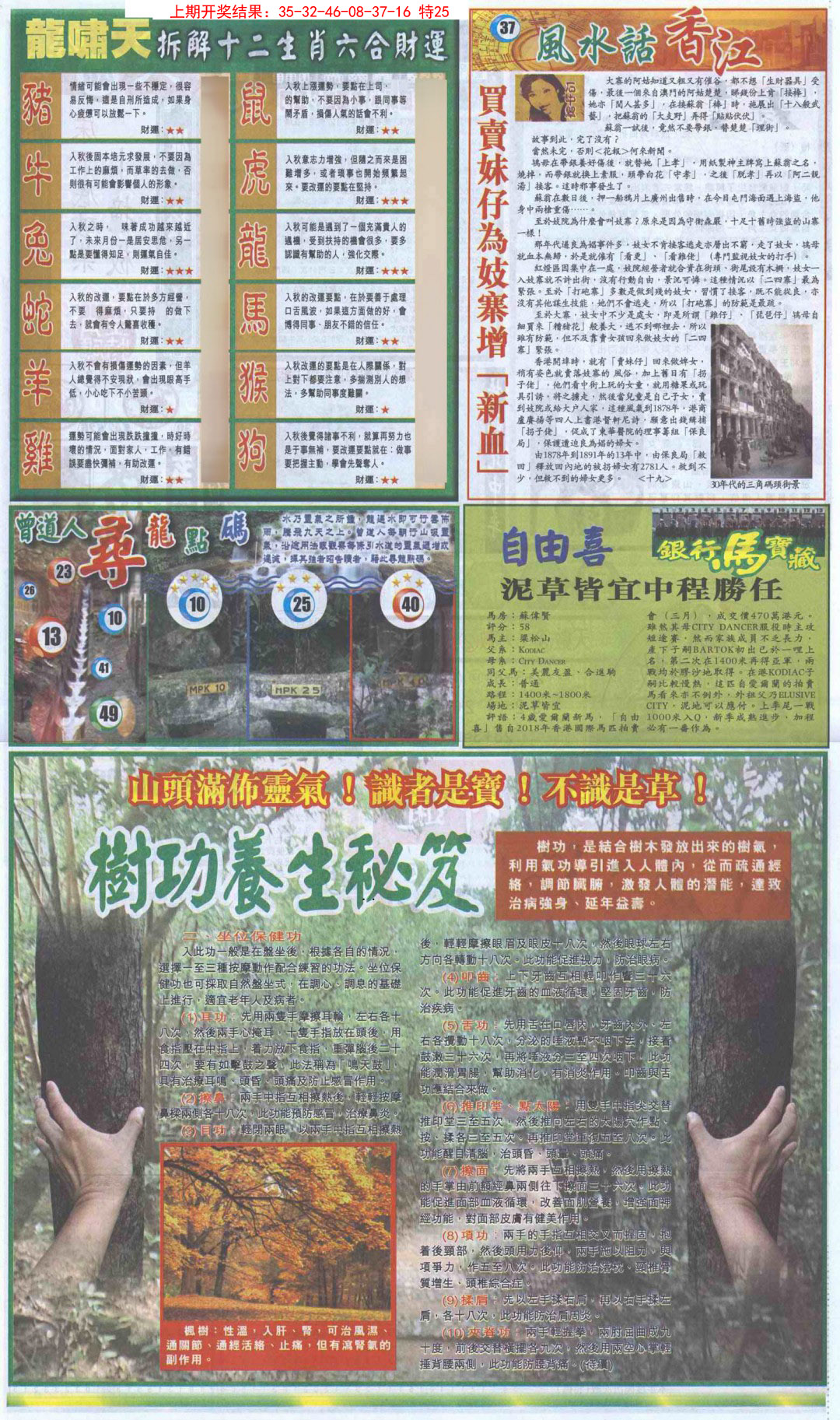 2025038期新报跑狗B