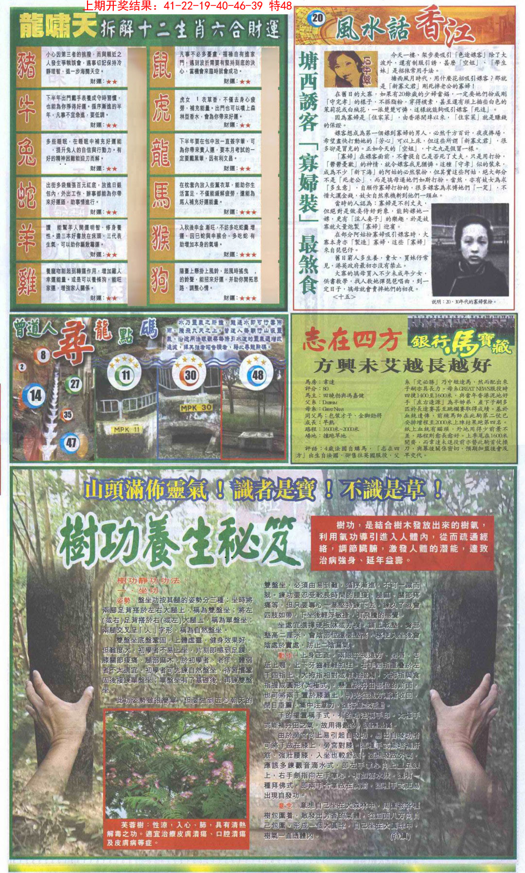 2025034期新报跑狗B