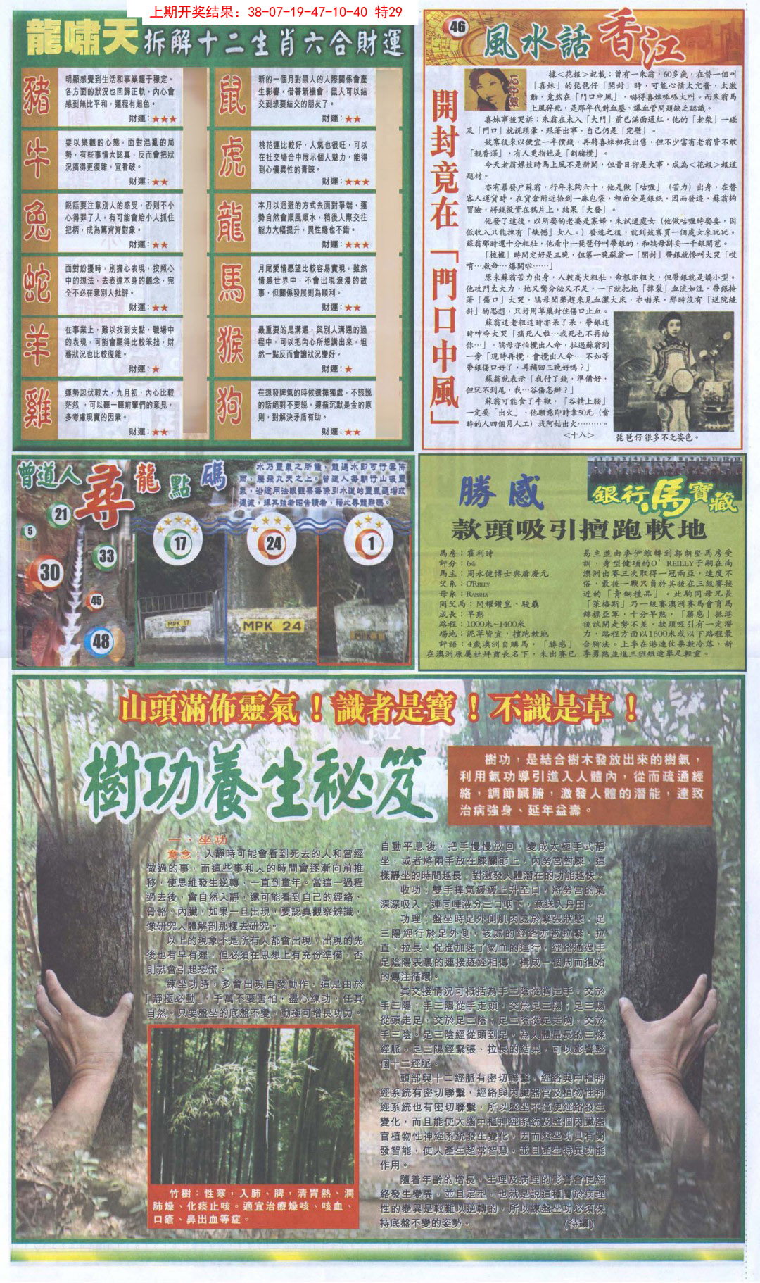 2025037期新报跑狗B