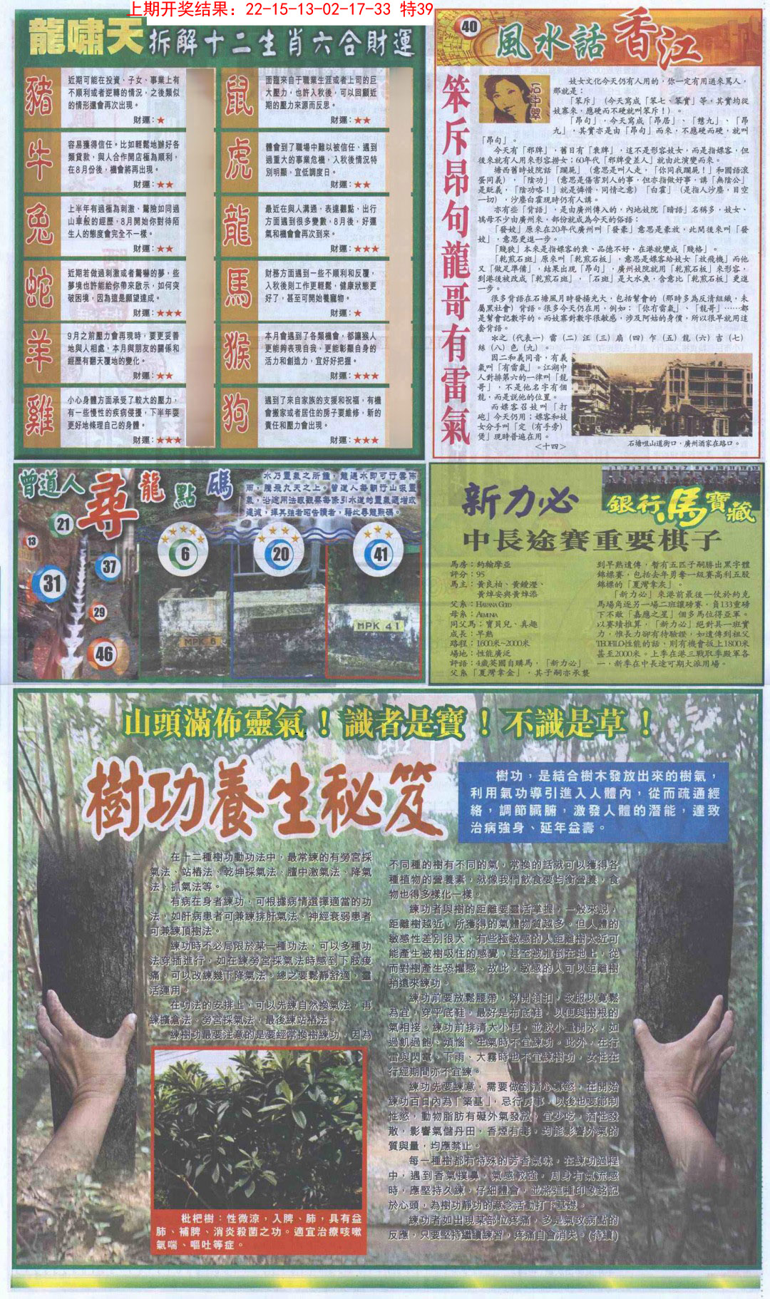 2025033期新报跑狗B