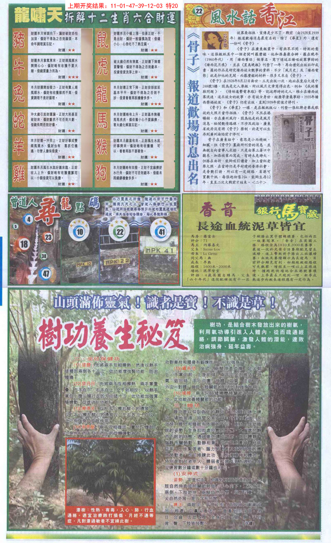 2025039期新报跑狗B