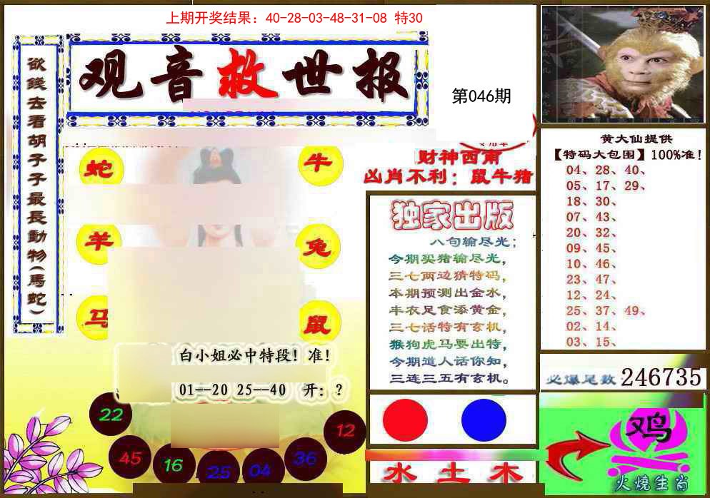 2025046期(另)观音救世密报