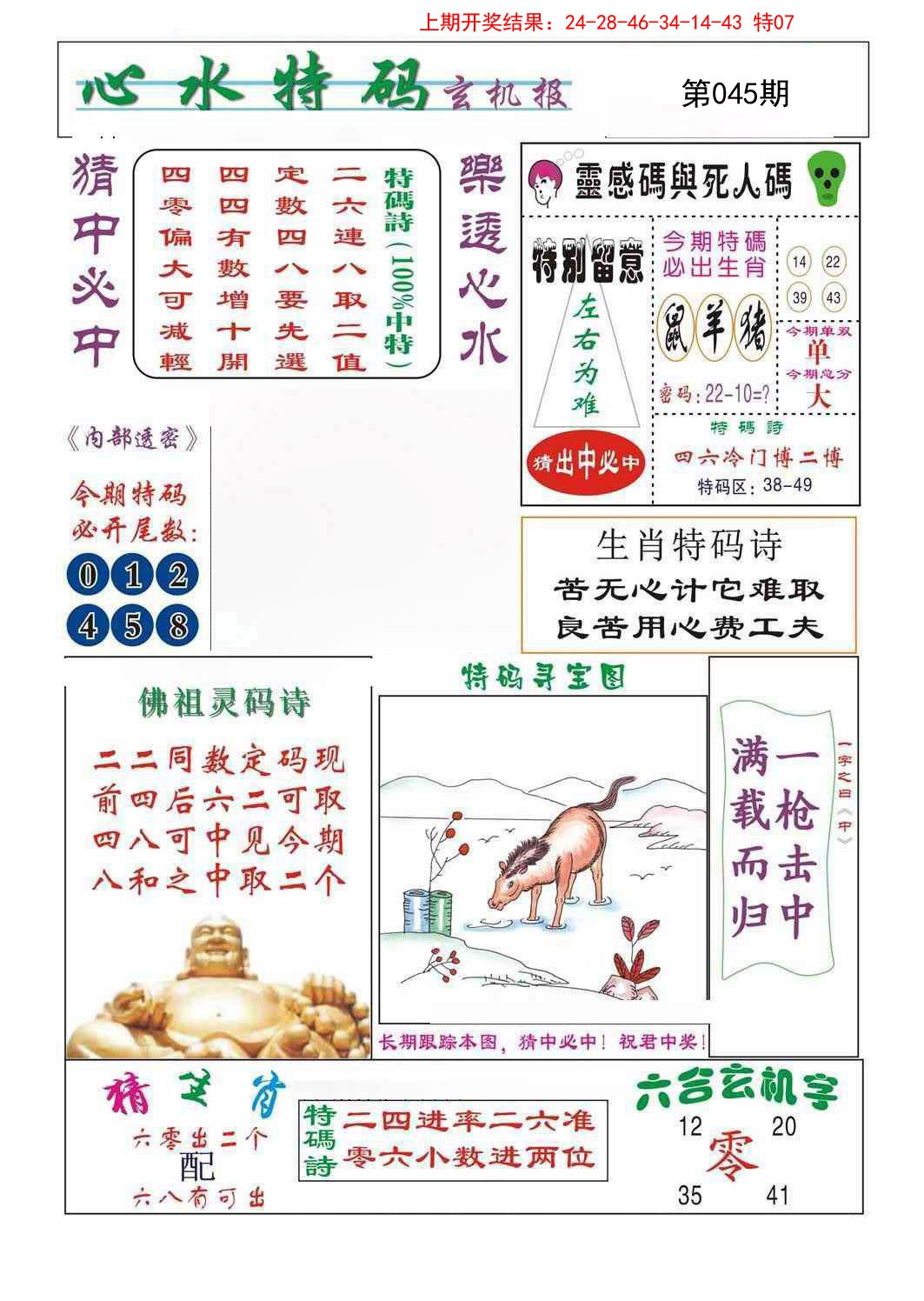 2025045期心水特码