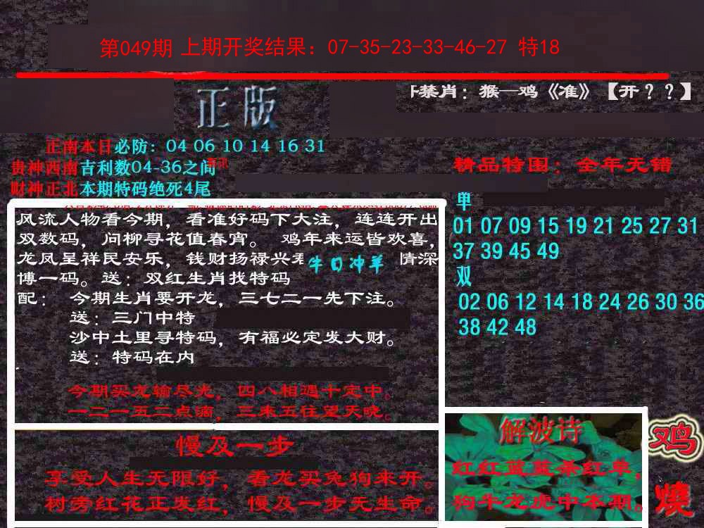 2025049期新港内幕