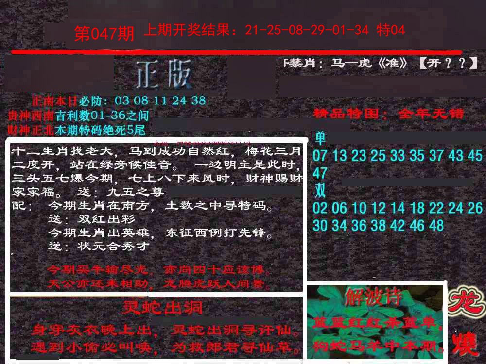 2025047期新港内幕