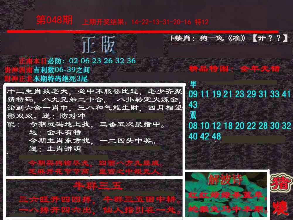 2025048期新港内幕