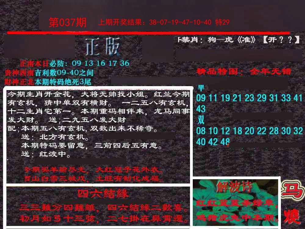 2025037期新港内幕