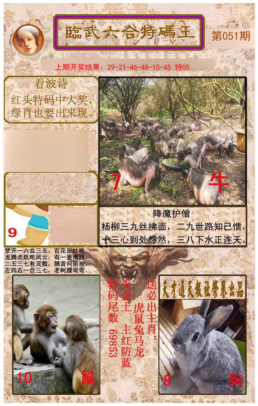 2025051期临武六合特码王