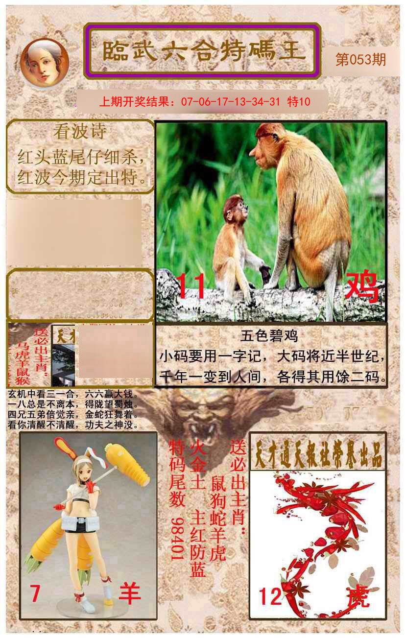 2025053期临武六合特码王