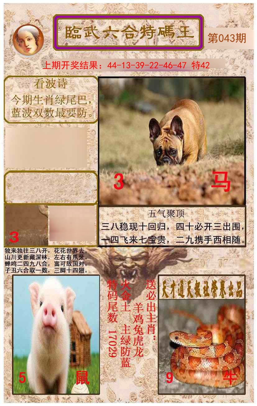 2025043期临武六合特码王