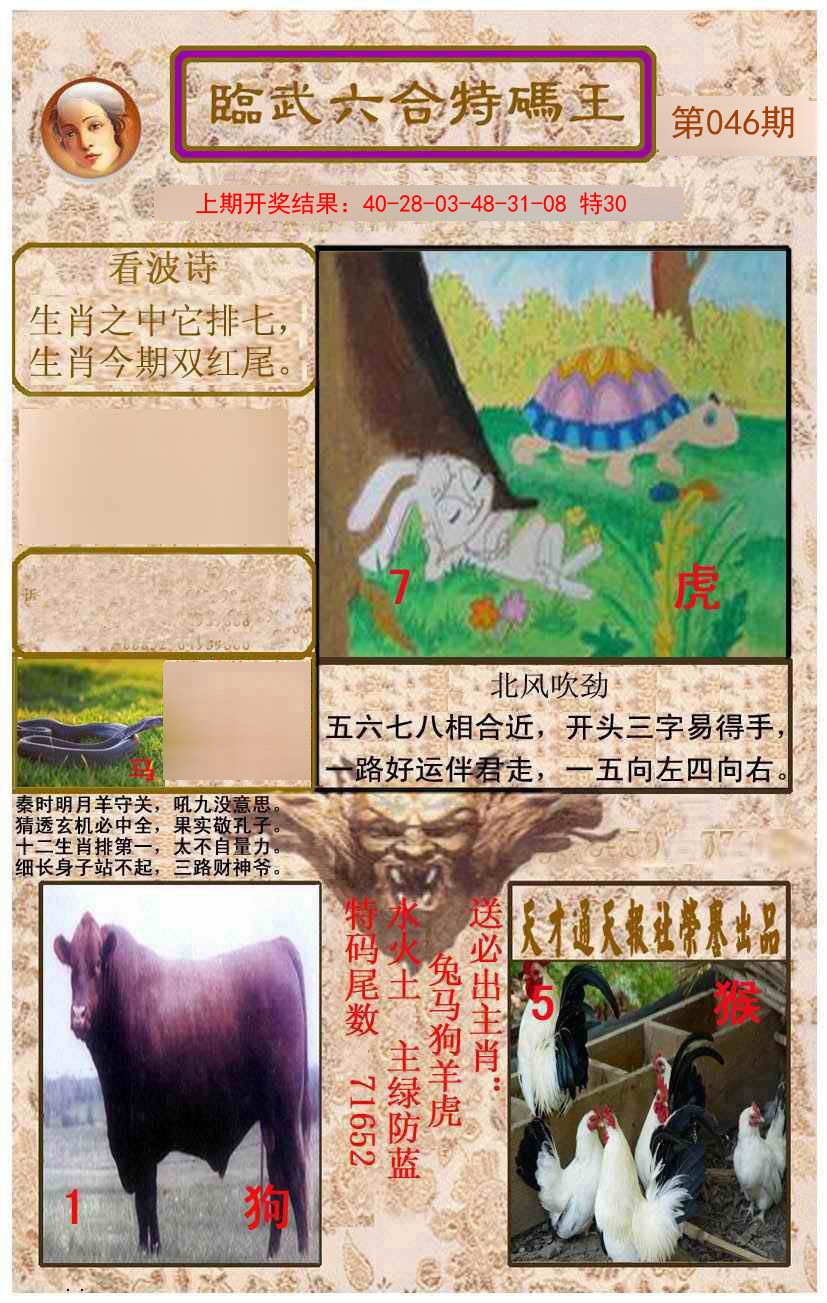 2025046期临武六合特码王
