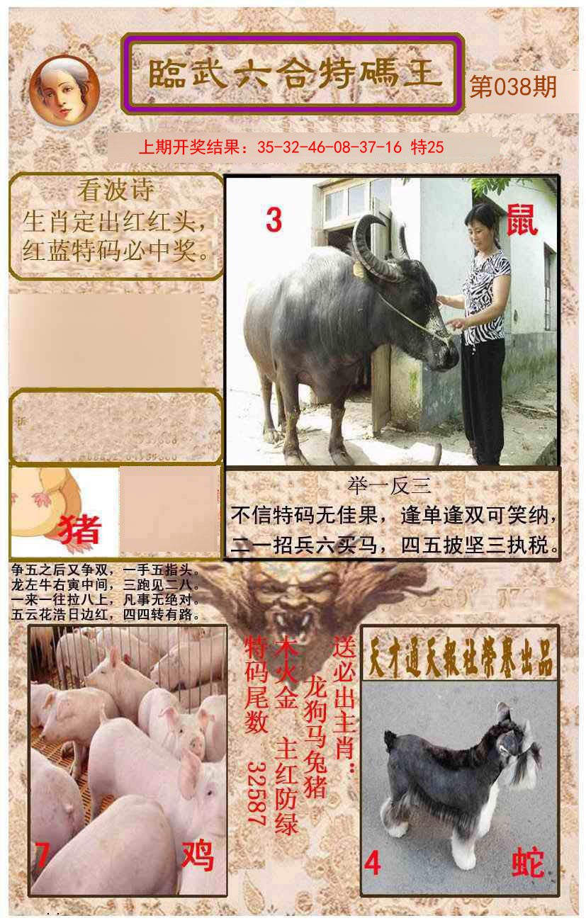 2025038期临武六合特码王