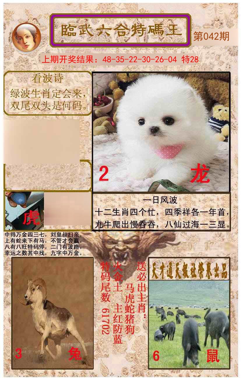 2025042期临武六合特码王