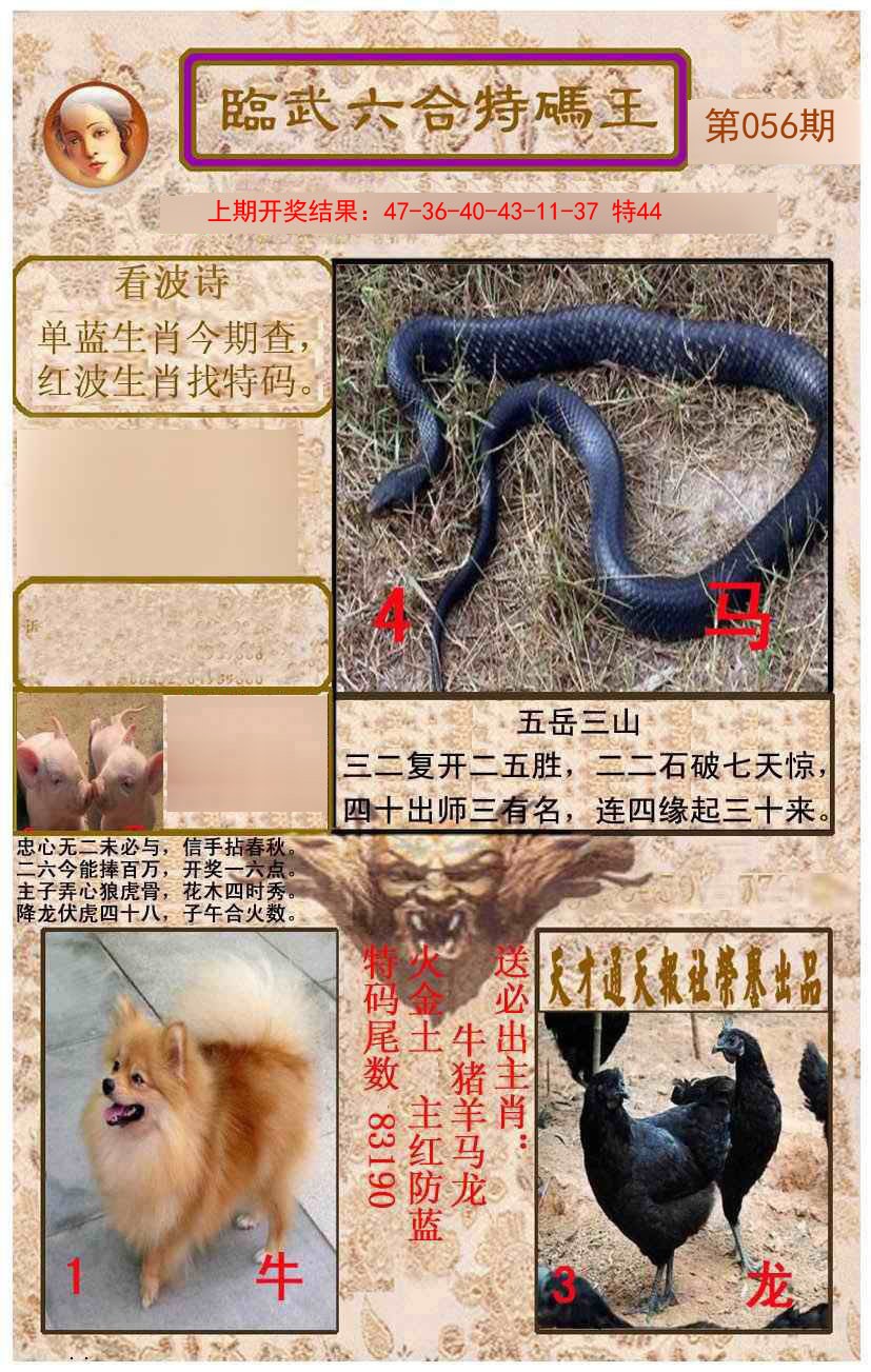 2025056期临武六合特码王