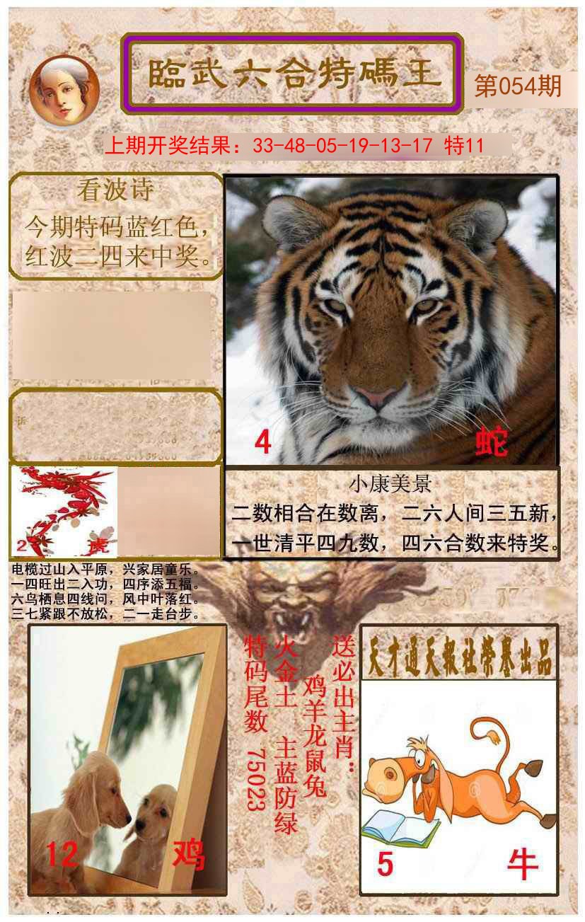 2025054期临武六合特码王