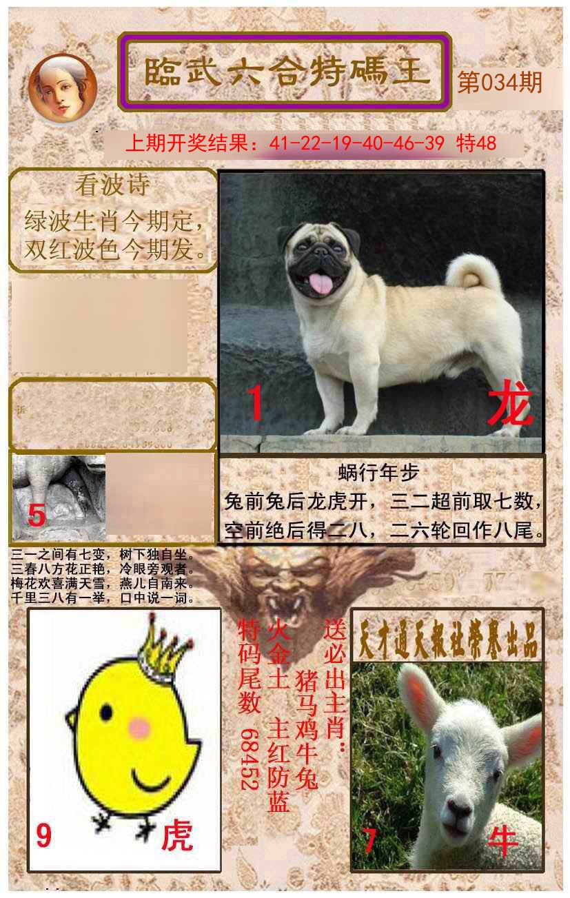 2025034期临武六合特码王