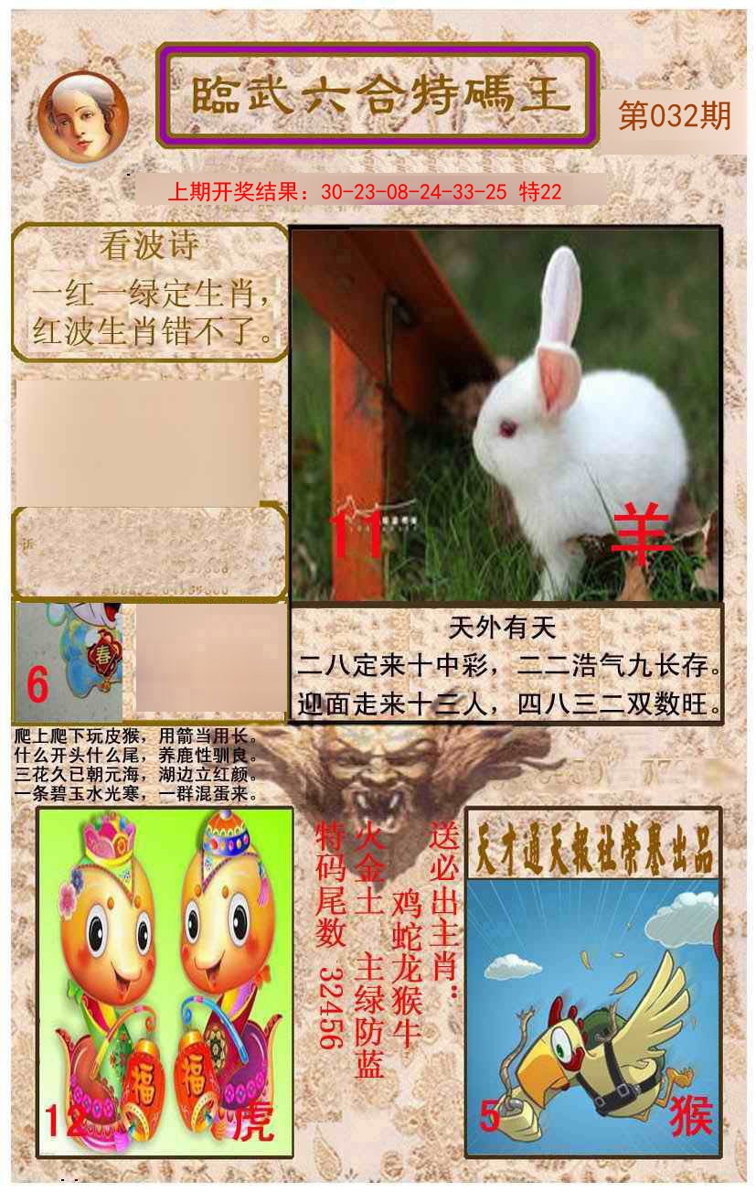 2025032期临武六合特码王