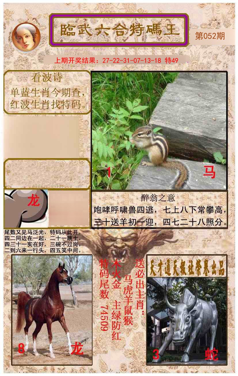 2025052期临武六合特码王