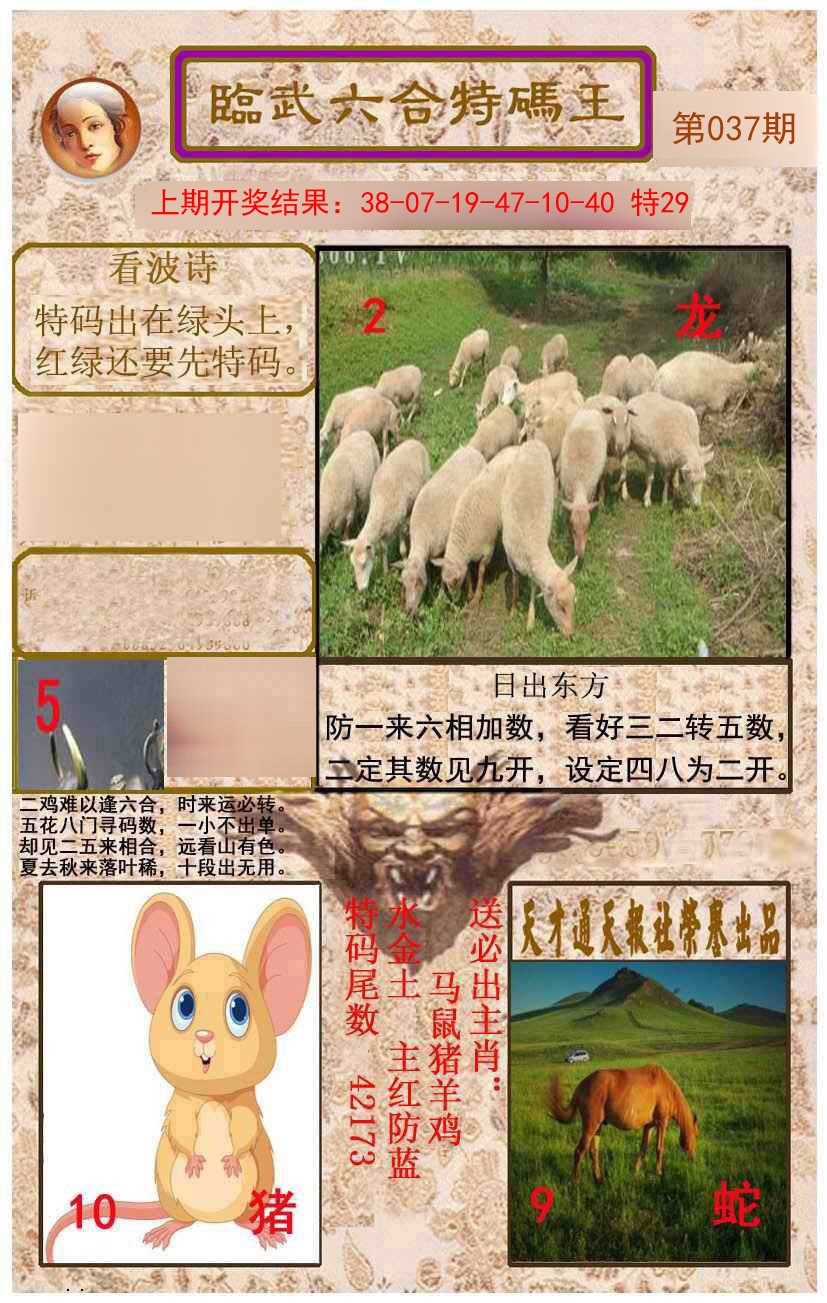 2025037期临武六合特码王
