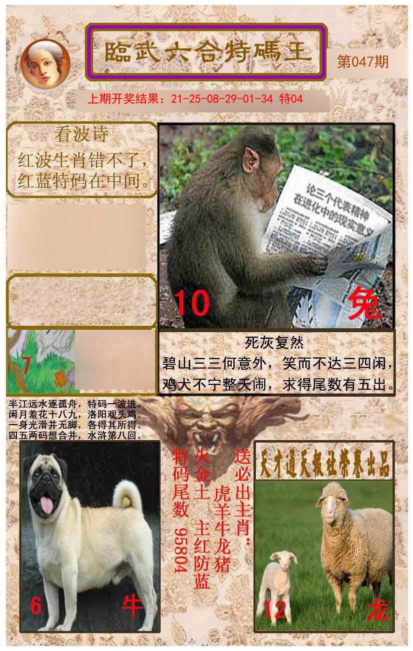 2025047期临武六合特码王