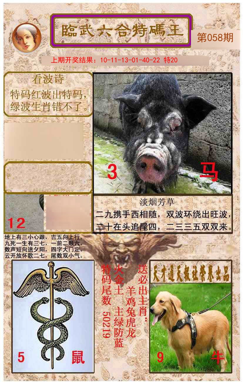 2025058期临武六合特码王