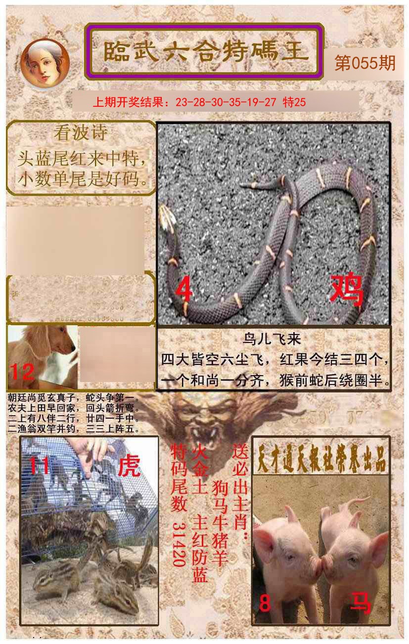 2025055期临武六合特码王