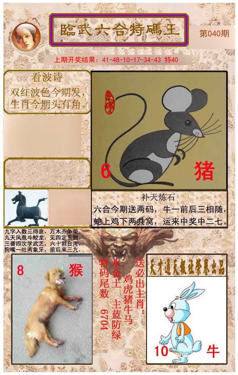2025040期临武六合特码王
