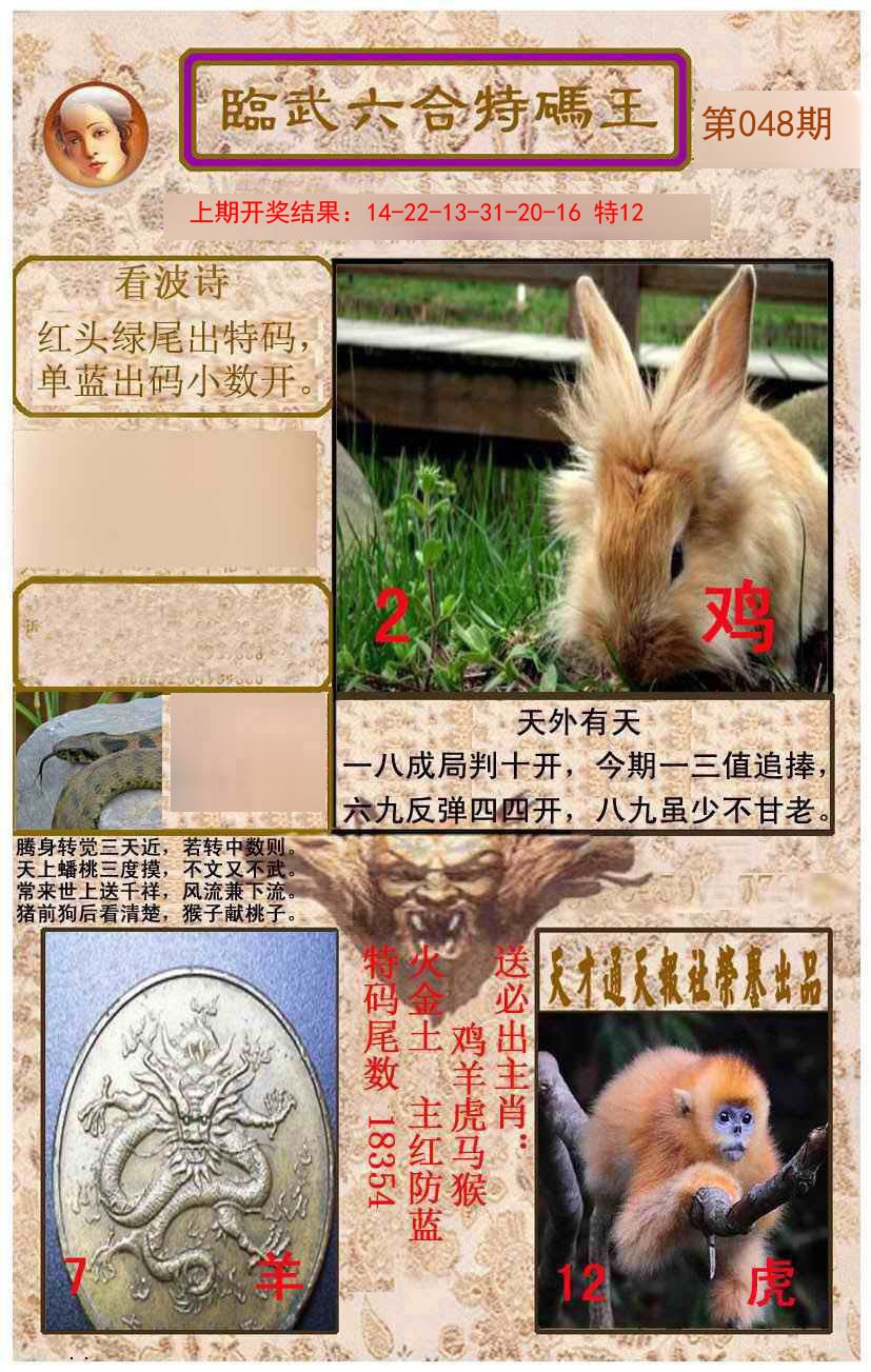 2025048期临武六合特码王