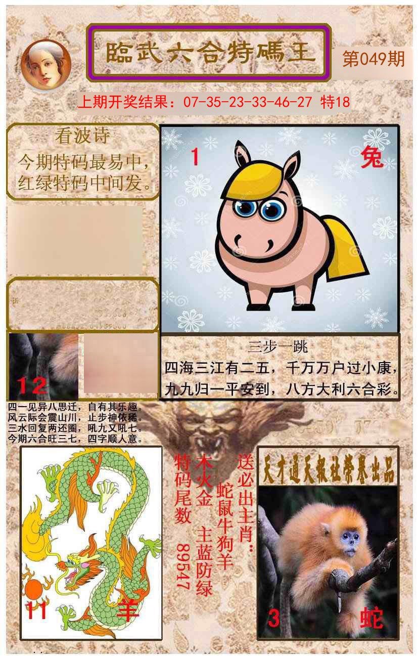 2025049期临武六合特码王