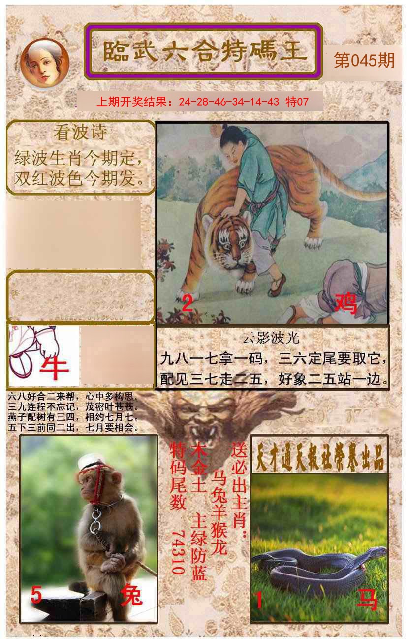 2025045期临武六合特码王
