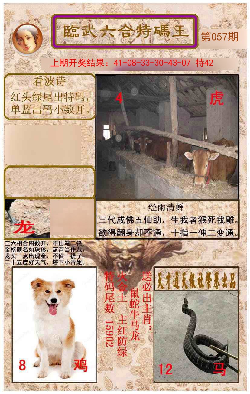 2025057期临武六合特码王