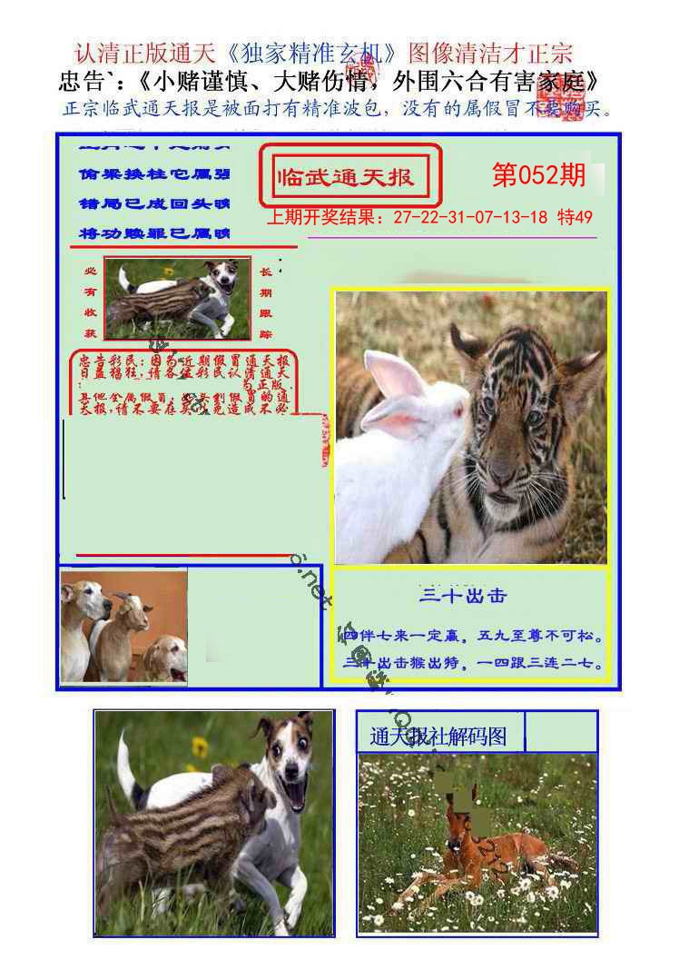 2025052期临武通天报
