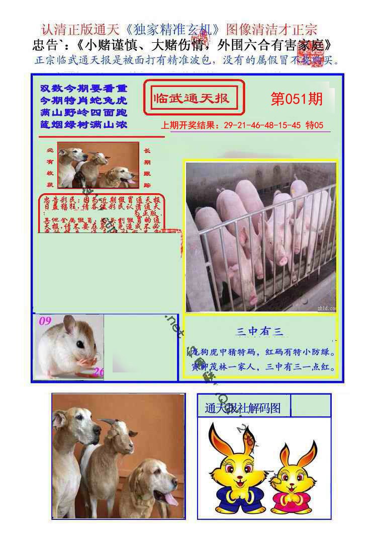 2025051期临武通天报
