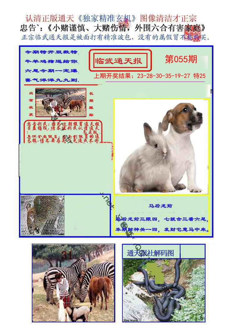 2025055期临武通天报