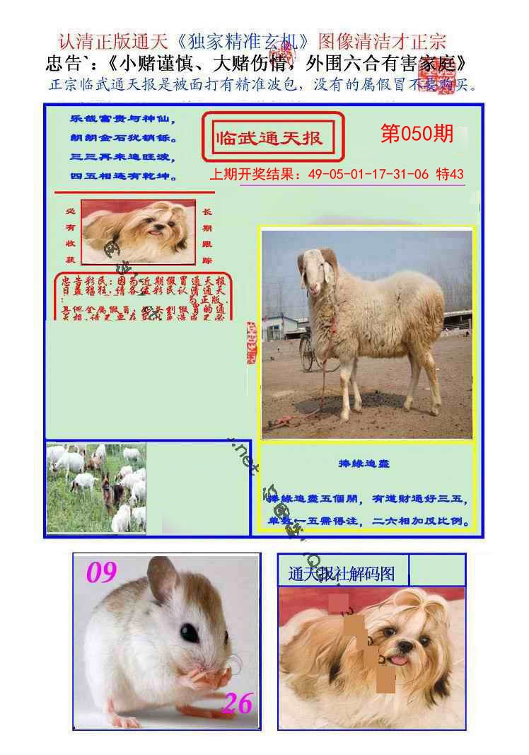 2025050期临武通天报