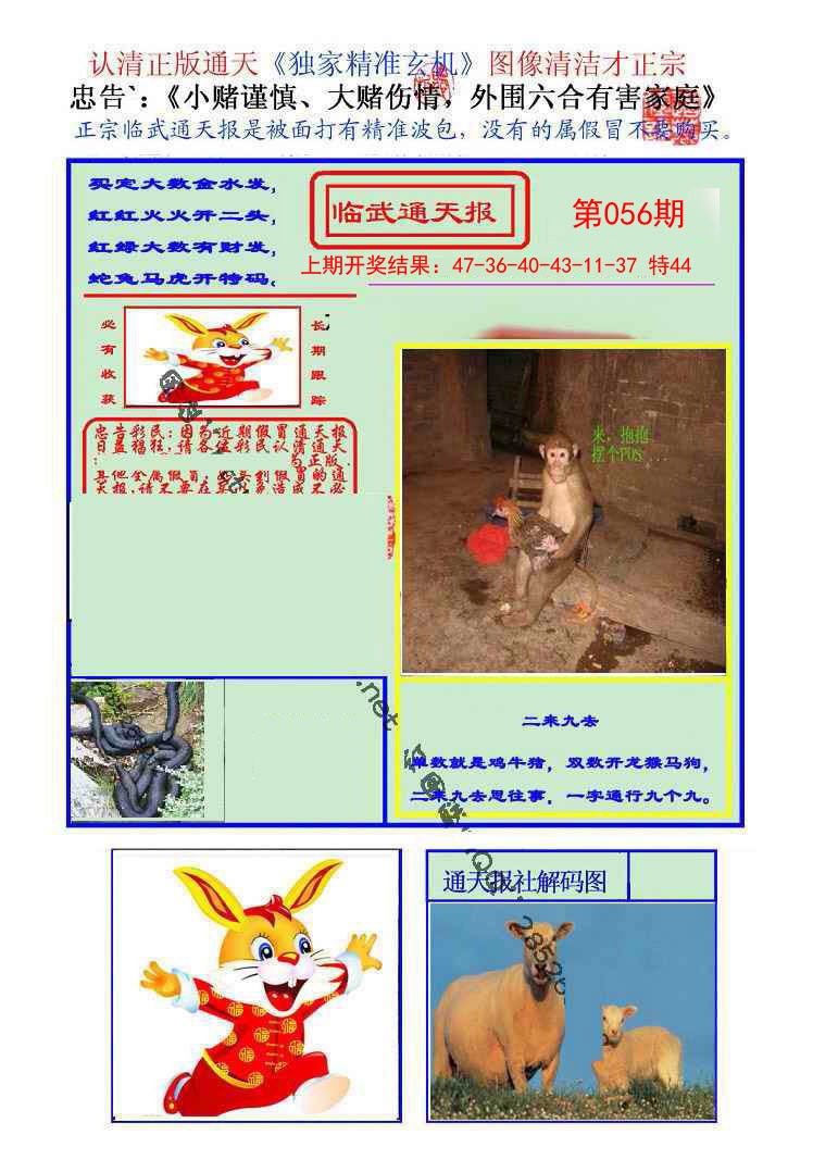 2025056期临武通天报