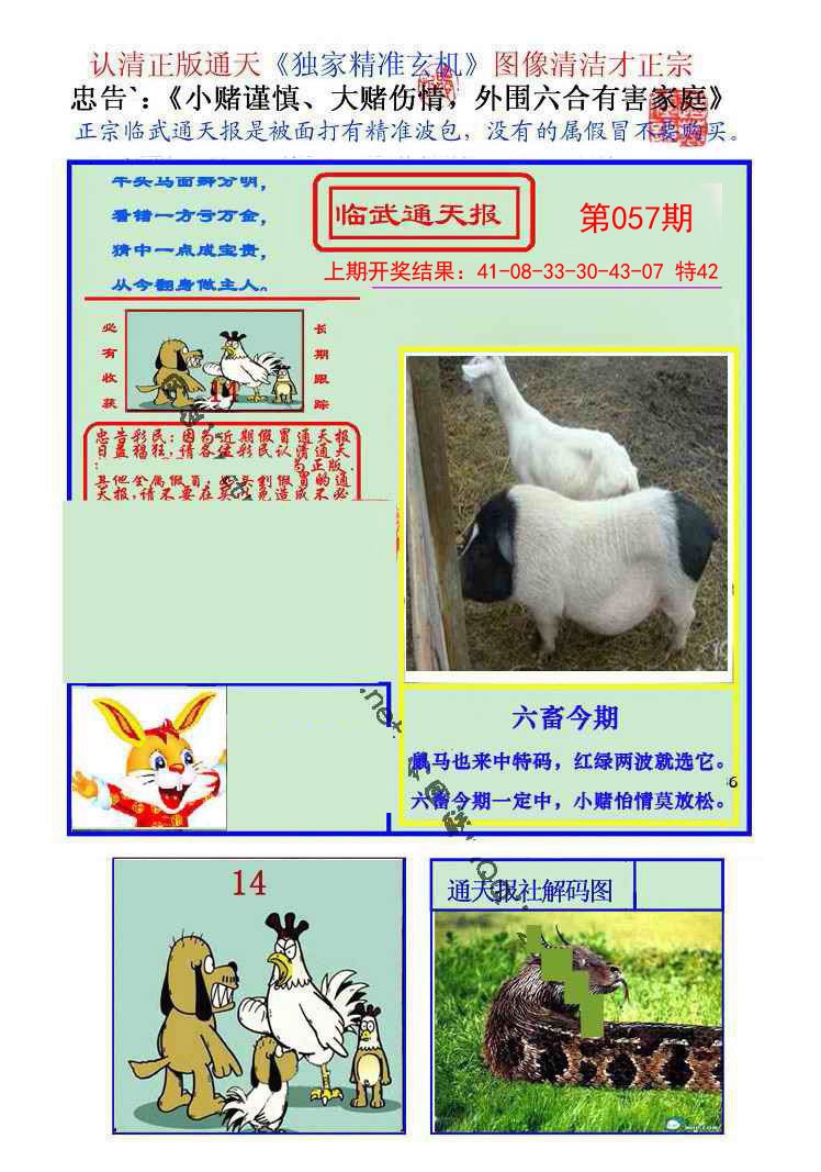 2025057期临武通天报