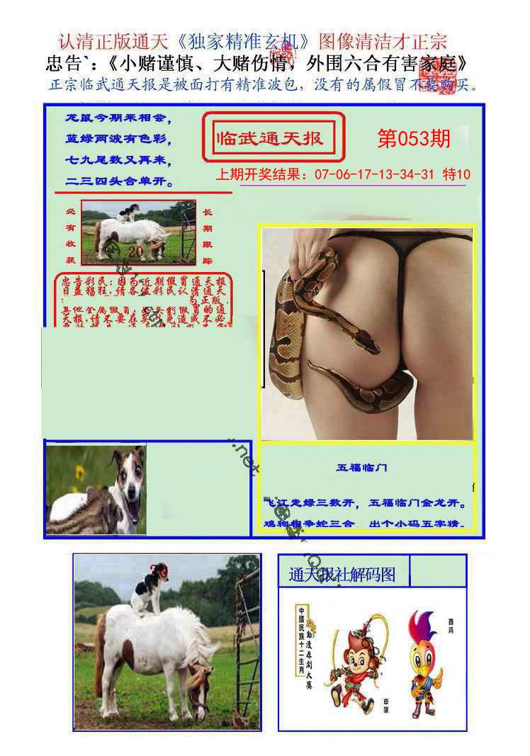 2025053期临武通天报