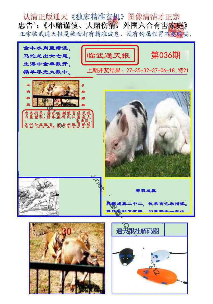 2025036期临武通天报